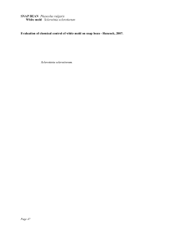 SNAP BEAN - Department of Plant Pathology | University of