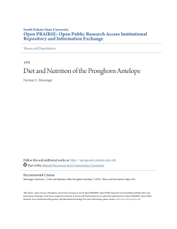 Diet and Nutrition of the Pronghorn Antelope