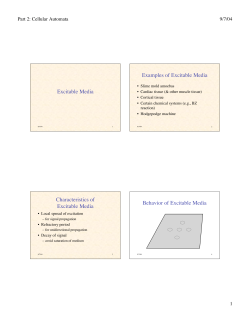 Excitable Media Examples of Excitable Media Characteristics of