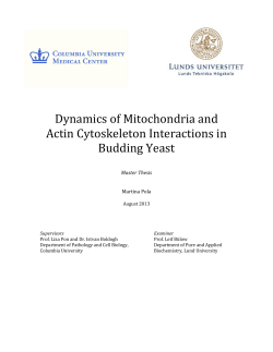 Open Access - Lund University Publications