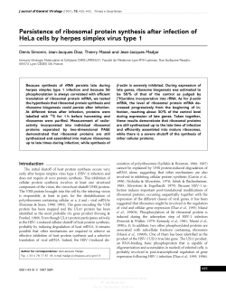 Persistence of ribosomal protein synthesis after infection of HeLa
