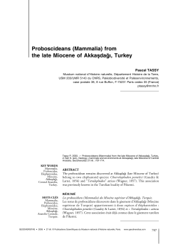 full article in PDF format