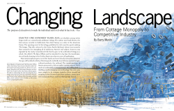 From Cottage Monopoly to Competitive Industry