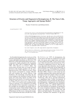 Structure of ovaries and oogenesis in dermapterans. II