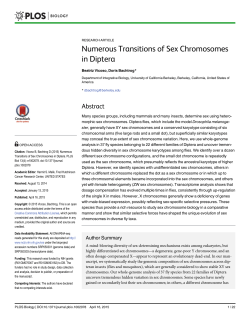 Numerous Transitions of Sex Chromosomes in Diptera