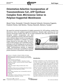 Orientation-Selective Incorporation of Transmembrane F0F1 ATP