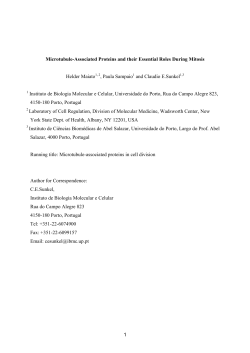 Microtubule-Associated Proteins and their Essential Roles During