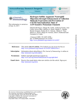 ATP-Sensitive Potassium Channels CXCR2 Internalization: Role of