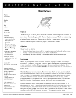 Shark Cartoons.LibraryVersion