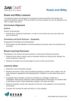 Koala and Bilby Lessons