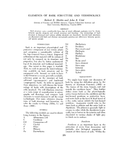 elements of bark structure and terminology