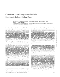 Cytoskeleton and Integration of Cellular Function in Cells of Higher