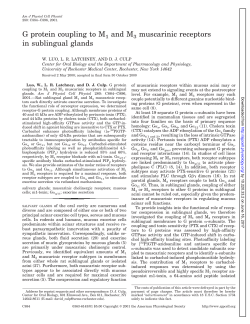 G protein coupling to M1 and M3 muscarinic receptors in - AJP-Cell