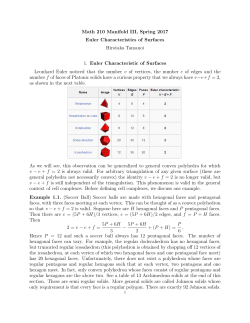 Euler Characteristic