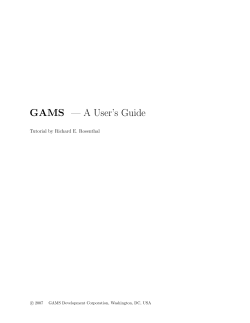 GAMS &mdash; A User`s Guide