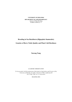 As a PDF file