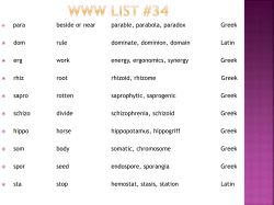 The Word Within the Word List #3