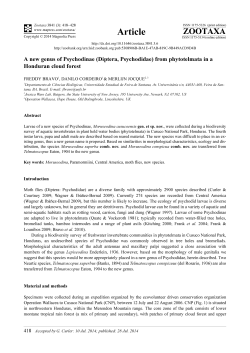 Preview - Magnolia press