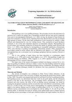 Factors Involved in in vitro Shoot-tip Grafting of Apple