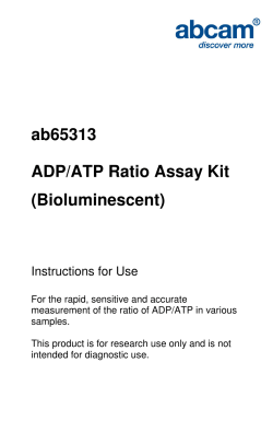ab65313 ADP/ATP Ratio Assay Kit (Bioluminescent)