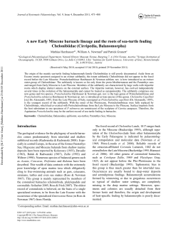 A new Early Miocene barnacle lineage and the roots of sea