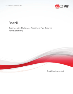 Brazil: Cybersecurity Challenges Faced by a Fast