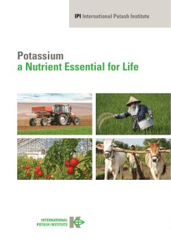 Potassium a Nutrient Essential for Life