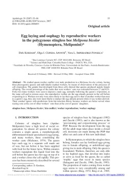 Egg laying and oophagy by reproductive workers in the polygynous
