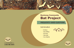 Bat Project - Province of British Columbia