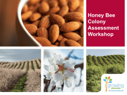 Honey Bee Colony Assessment Workshop