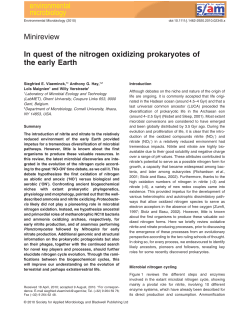 In quest of the nitrogen oxidizing prokaryotes of the early Earth
