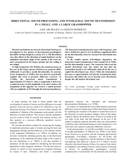 directional sound processing and interaural sound transmission in a