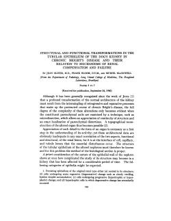 structural and functional transformations in the