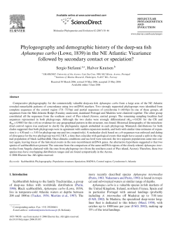 Phylogeography and demographic history of the deep-sea