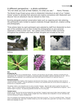 A different perspective &ndash; a photo exhibition