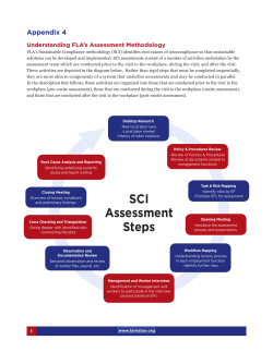 SCI Assessment Steps - Fair Labor Association
