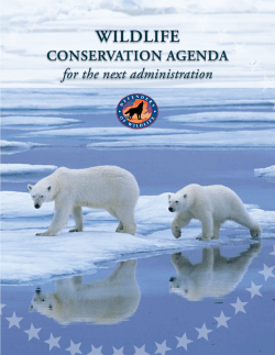 Wildlife Conservation Agenda for the Next Presidential Administration