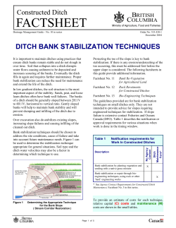 Ditch Bank Stabilization Techniques