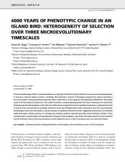 4000 years of phenotypic change in an island bird