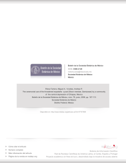 The ceremonial use of the threatened espadaña cycad (Dioon