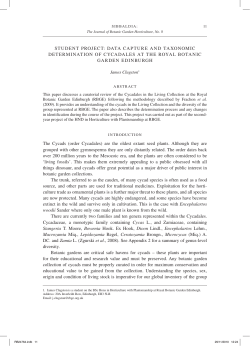 data caPture and taXonoMic deterMination of cYcadaleS at the