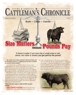Size Matters Pounds Pay