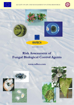 Risk Assessment of Fungal Biological Control Agents