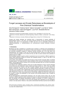 Fungal Laccases and Enoate Reductases as Biocatalysts of