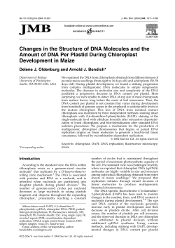 Changes in the Structure of DNA Molecules and the Amount of DNA