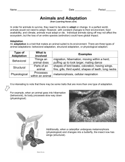 Animals and Adaptation
