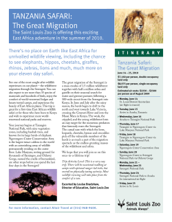 TANZANIA SAFARI: The Great Migration