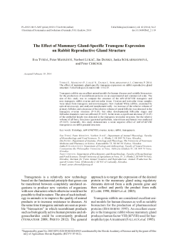 The effect of mammary gland-specific transgene