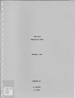 Jade Tile Feasibility Study - Ministry of Energy and Mines and