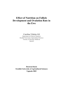 Effect of Nutrition on Follicle Development and Ovulation Rate in the